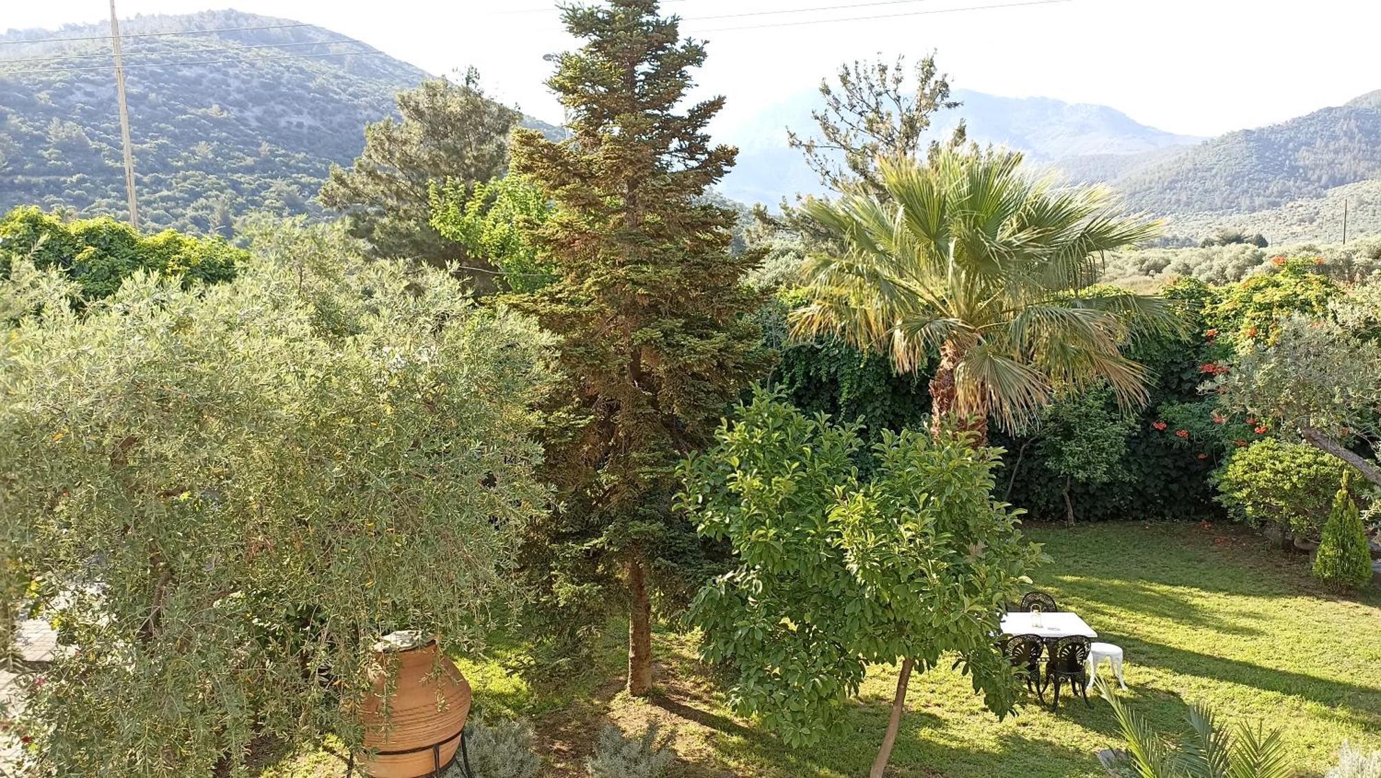Villa Karapataki Skala Rachoni  Extérieur photo