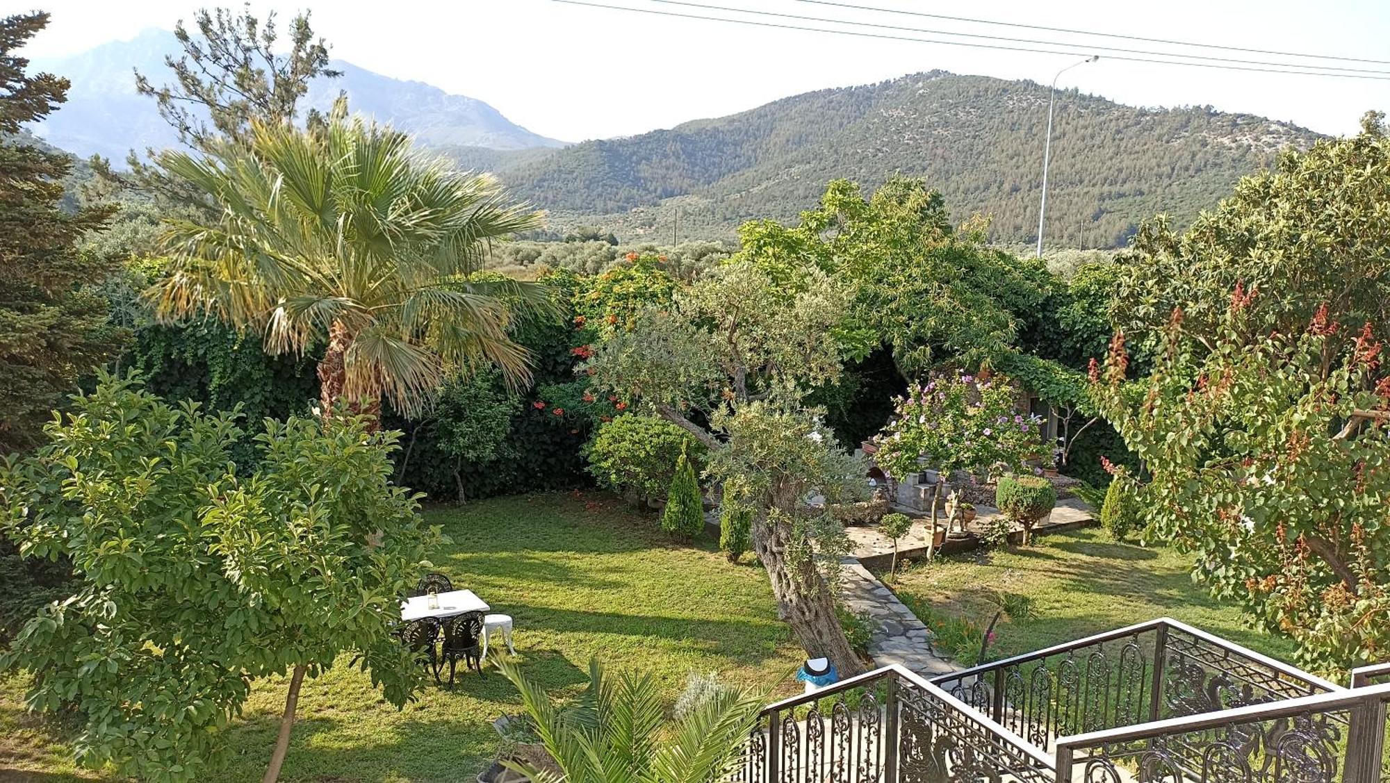 Villa Karapataki Skala Rachoni  Extérieur photo