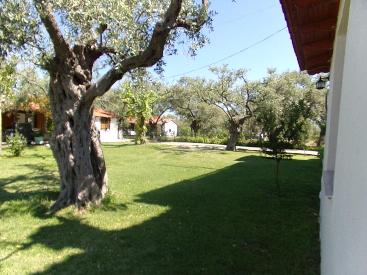 Villa Karapataki Skala Rachoni  Chambre photo